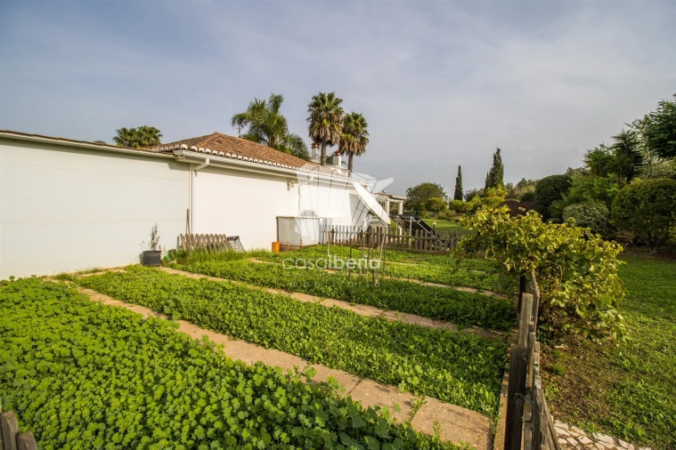 Moradia T5 para Venda em Odiaxere Foto 32