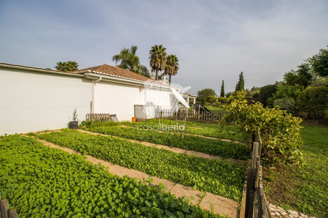 Moradia T5 para Venda em Odiaxere Foto 32