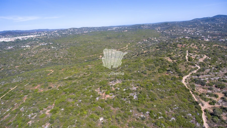 Terreno para Venda em São Brás de Alportel Foto 8