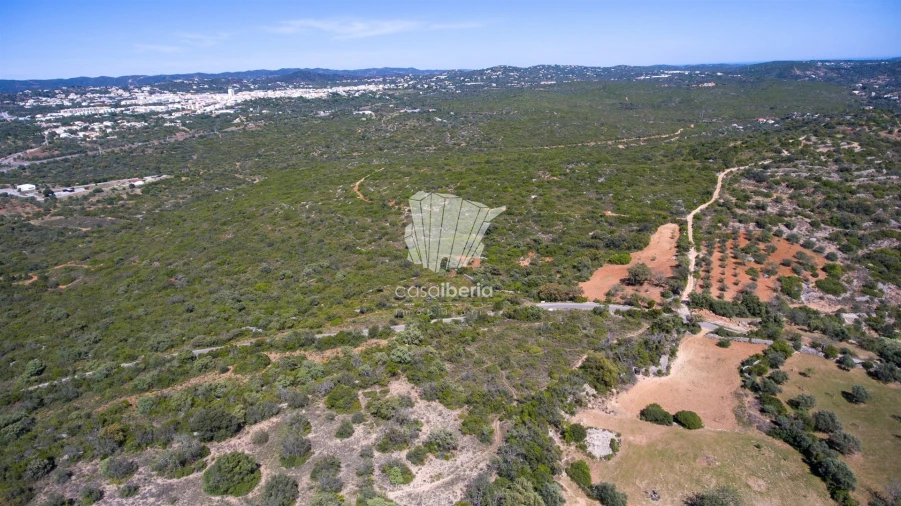 Terreno para Venda em São Brás de Alportel Foto 12