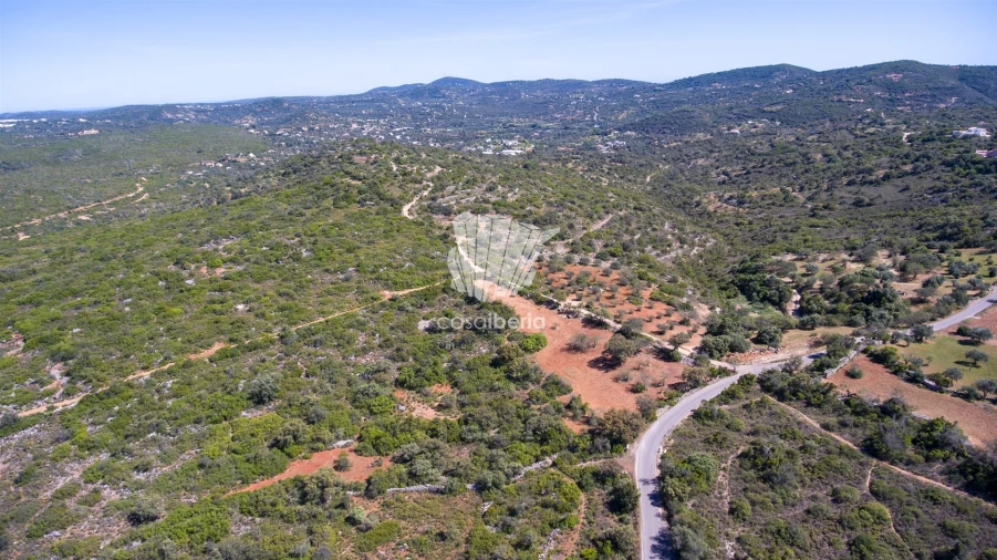 Terreno para Venda em São Brás de Alportel Foto 5