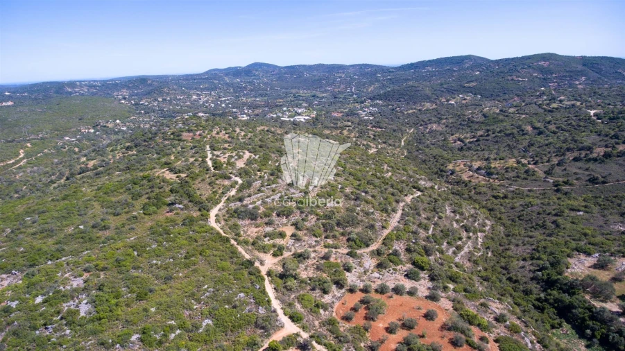 Terreno para Venda em São Brás de Alportel Foto 7