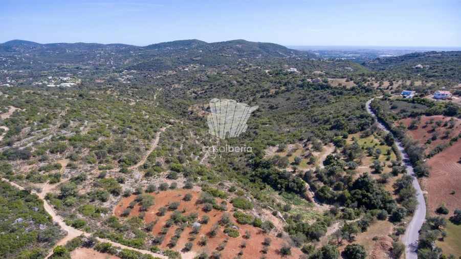 Terreno para Venda em São Brás de Alportel Foto 10