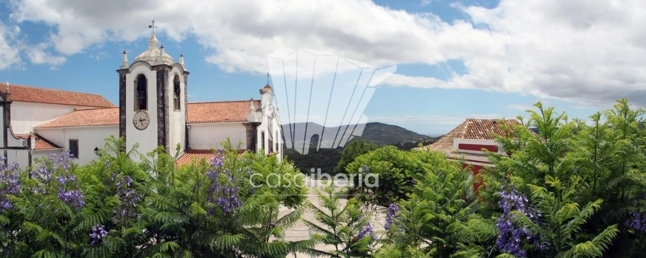 Terreno para Venda em São Brás de Alportel Foto 14