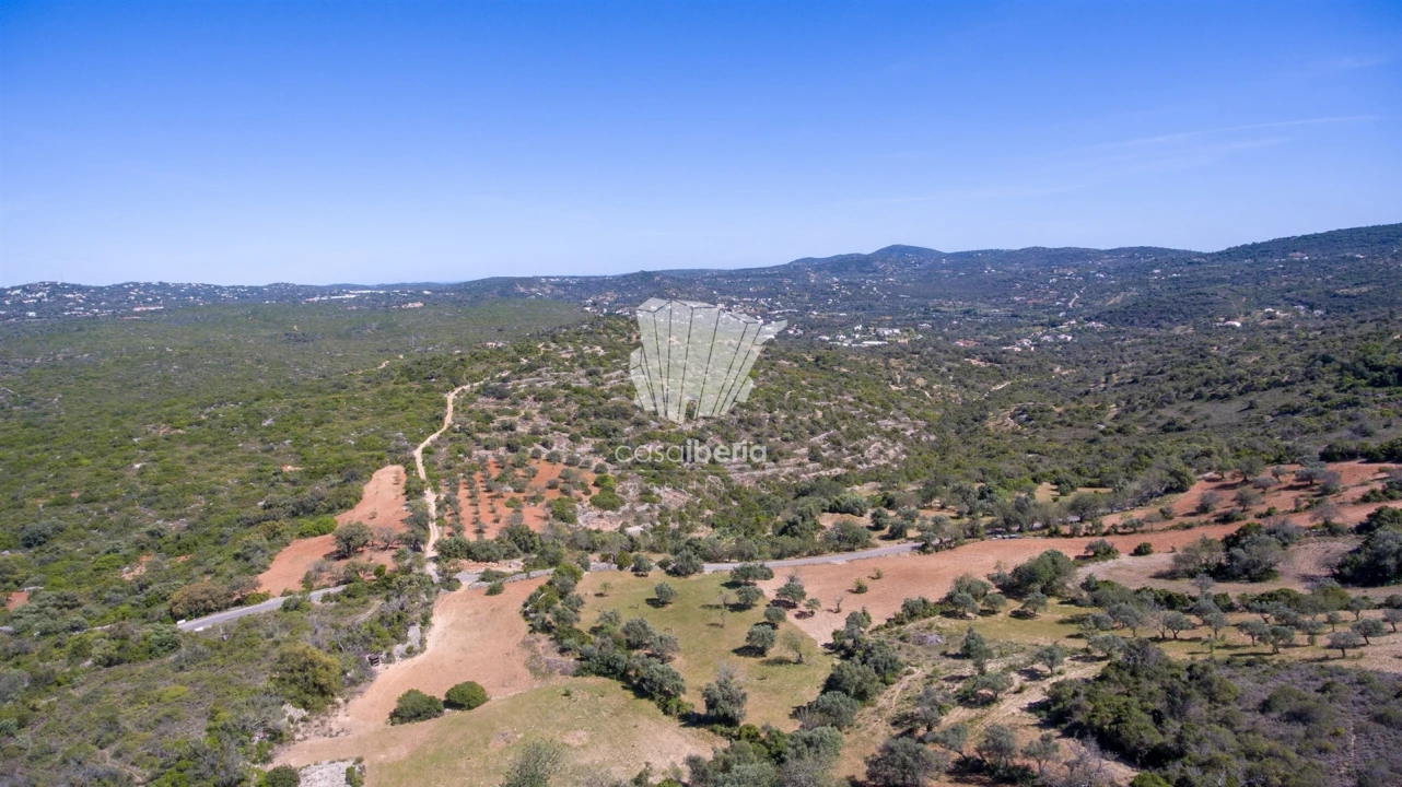 Terreno para Venda em São Brás de Alportel Foto 1