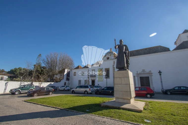 Terreno para Venda em Montenegro Foto 19