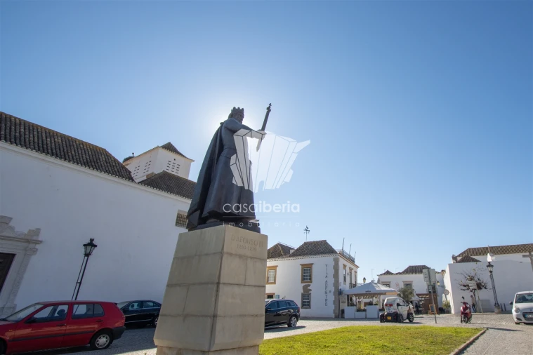 Terreno para Venda em Montenegro Foto 20