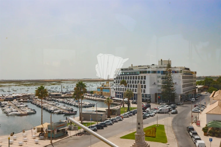 Terreno para Venda em Montenegro Foto 16