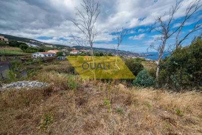Terreno para Venda em Gaula