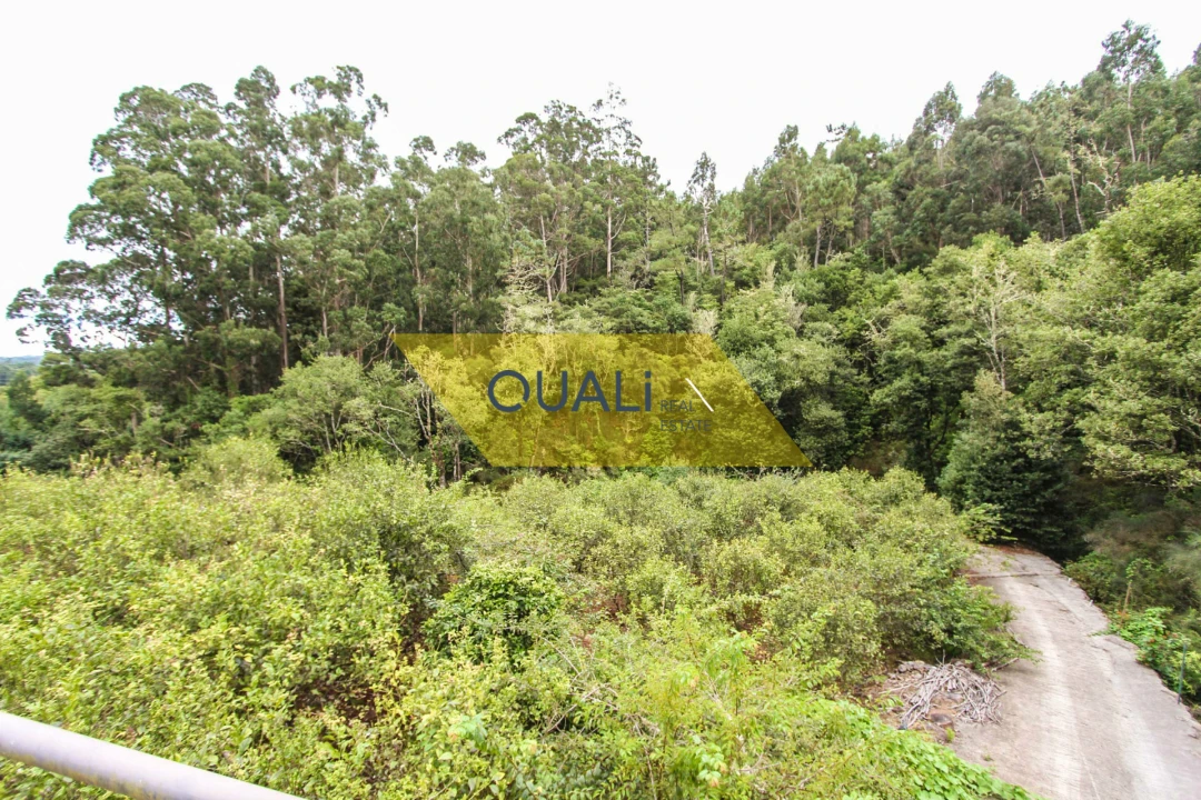Armazém para Venda em Santo Antonio da Serra Foto 12