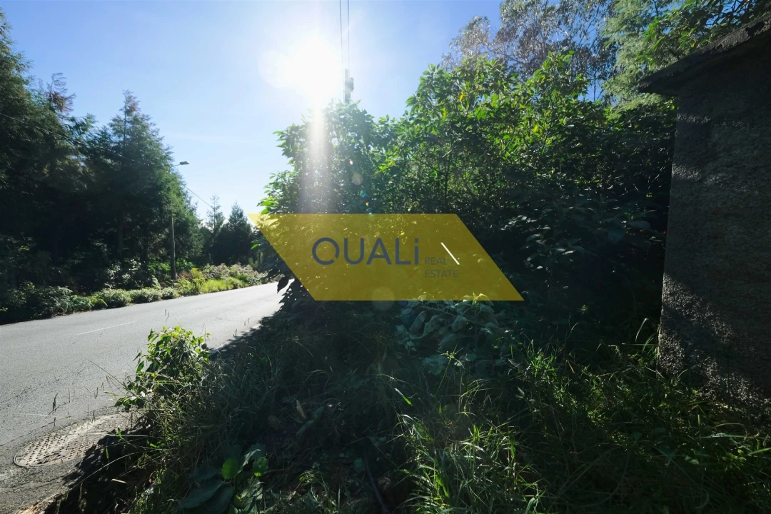 Terreno Agricola ou Rústico para Venda em Santo Antonio da Serra Foto 4