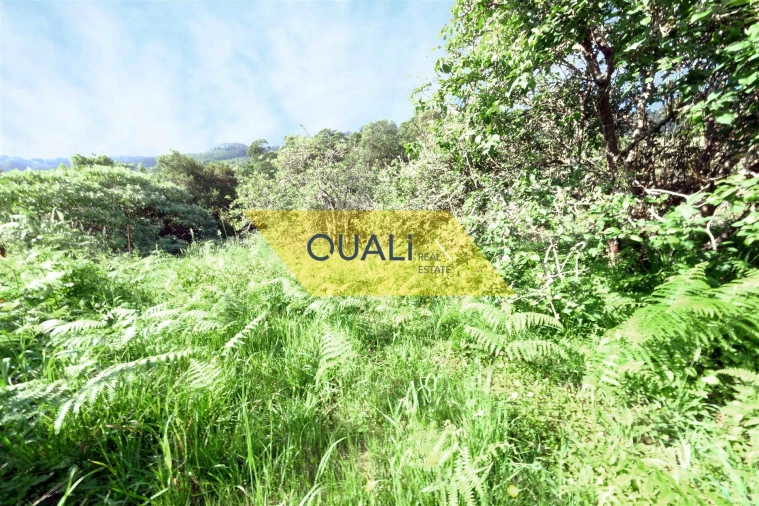 Terreno Agricola ou Rústico para Venda em Santo Antonio da Serra Foto 7