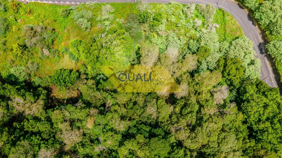 Terreno Agricola ou Rústico para Venda em Santo Antonio da Serra Foto 2