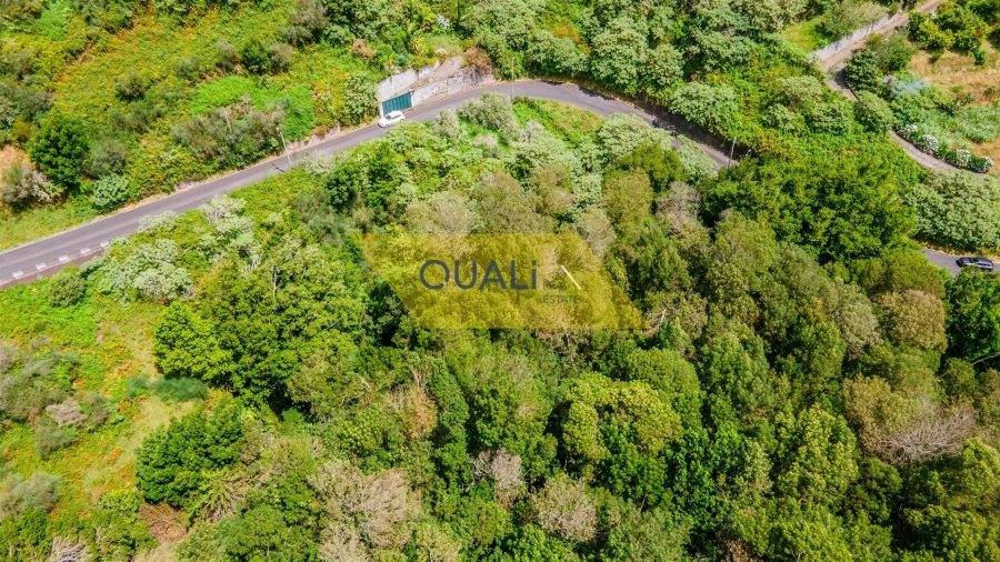 Terreno Agricola ou Rústico para Venda em Santo Antonio da Serra Foto 3