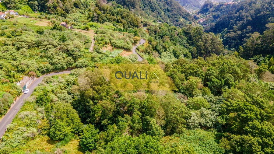 Terreno Agricola ou Rústico para Venda em Santo Antonio da Serra Foto 1