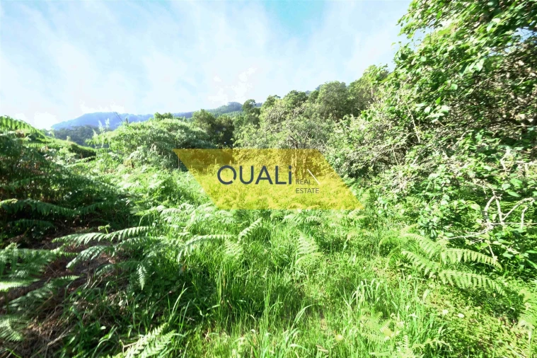 Terreno Agricola ou Rústico para Venda em Santo Antonio da Serra Foto 6