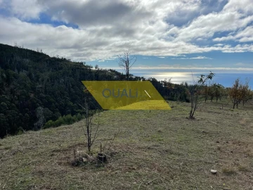 Terreno para Venda em Prazeres