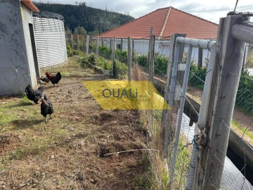 Terreno para Venda em Prazeres