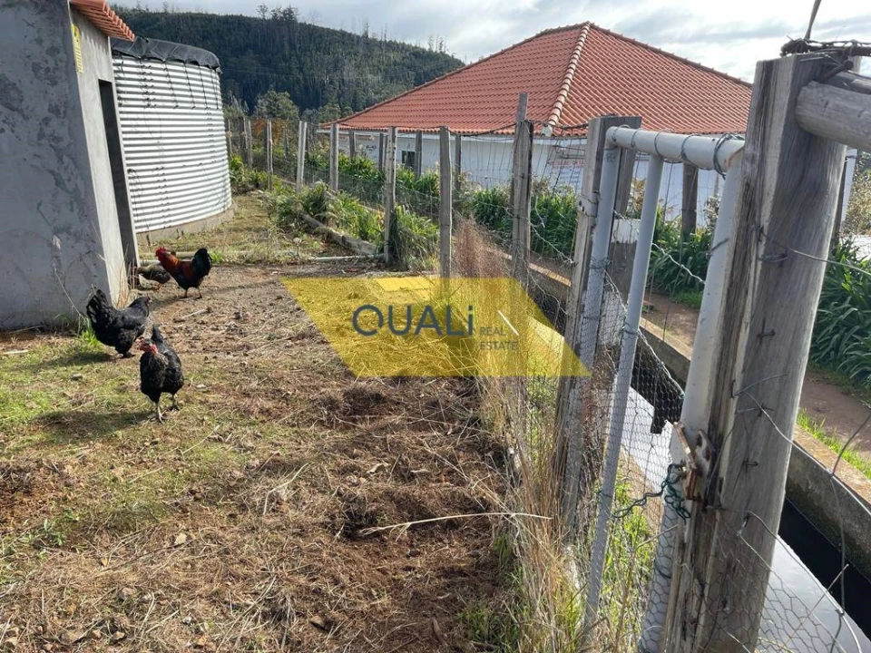 Terreno para Venda em Prazeres Foto 16