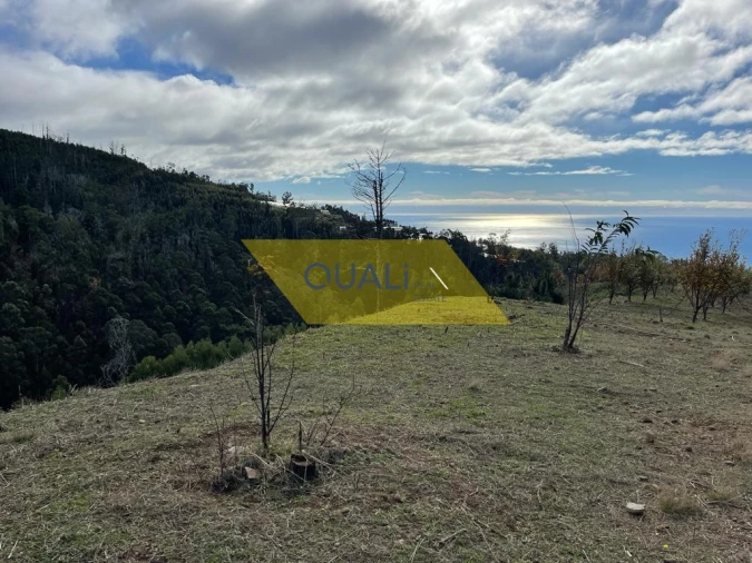 Terreno para Venda em Prazeres Foto 15