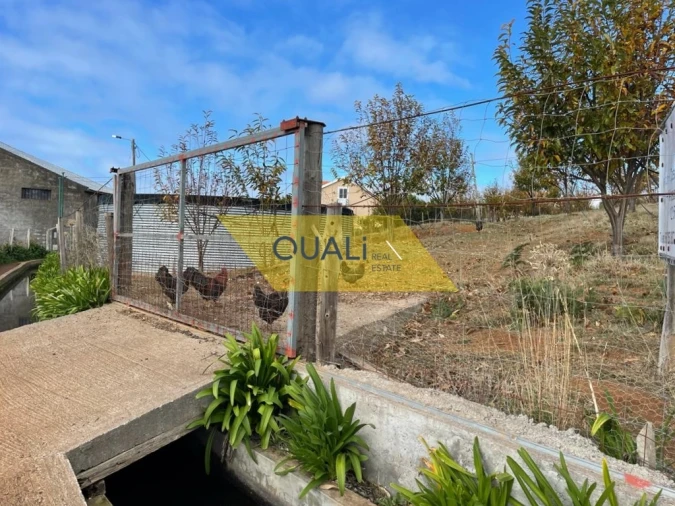 Terreno para Venda em Prazeres Foto 13