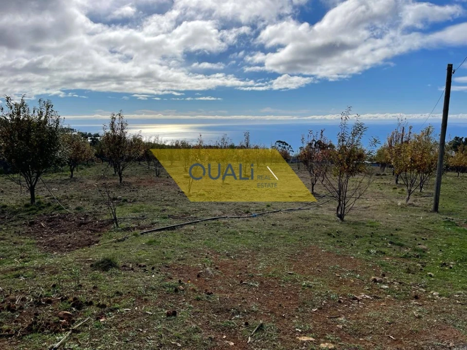 Terreno para Venda em Prazeres Foto 17