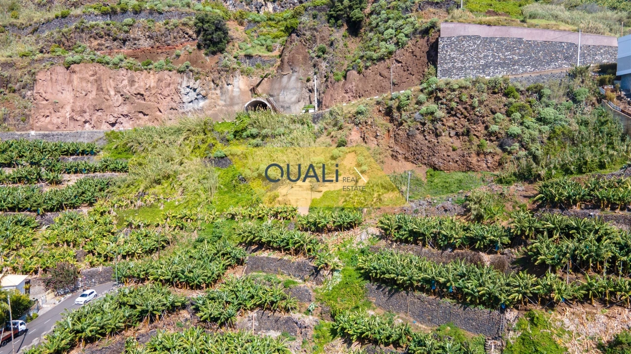 Terreno para Venda em Arco da Calheta Foto 5