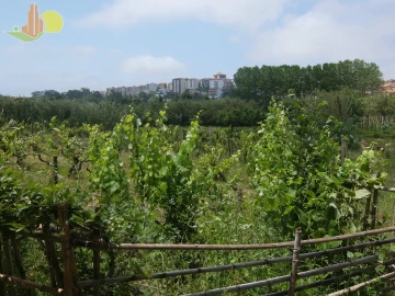 Terreno para Venda em Tavarede