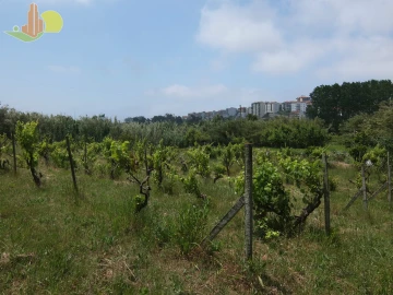 Terreno para Venda em Tavarede