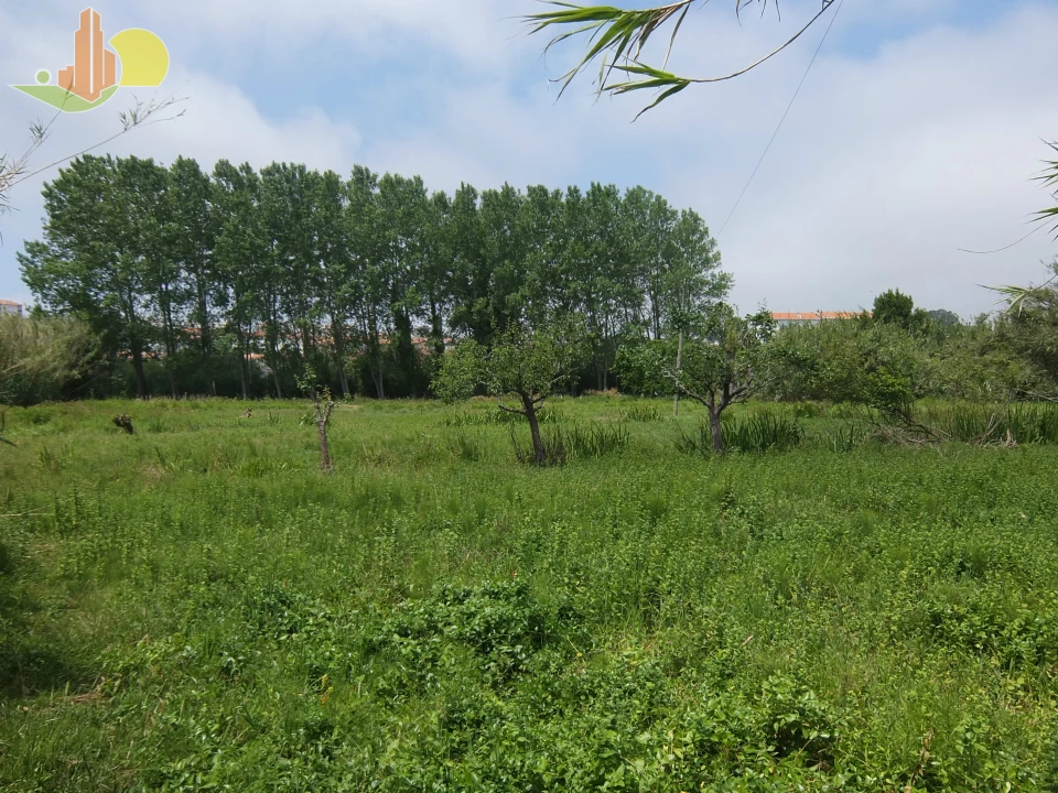 Terreno para Venda em Tavarede Foto 1