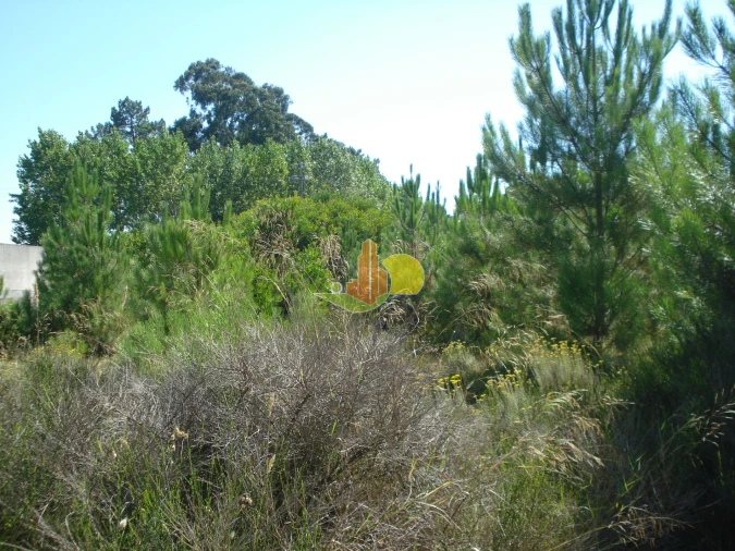 Terreno para Venda em Alhadas Foto 6