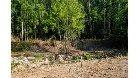 Terreno para Venda em Gondomar (São Cosme), Valbom e Jovim