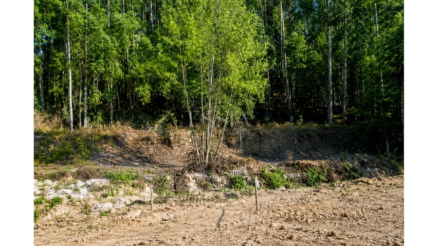 Terreno para Venda em Gondomar (São Cosme), Valbom e Jovim Foto 19