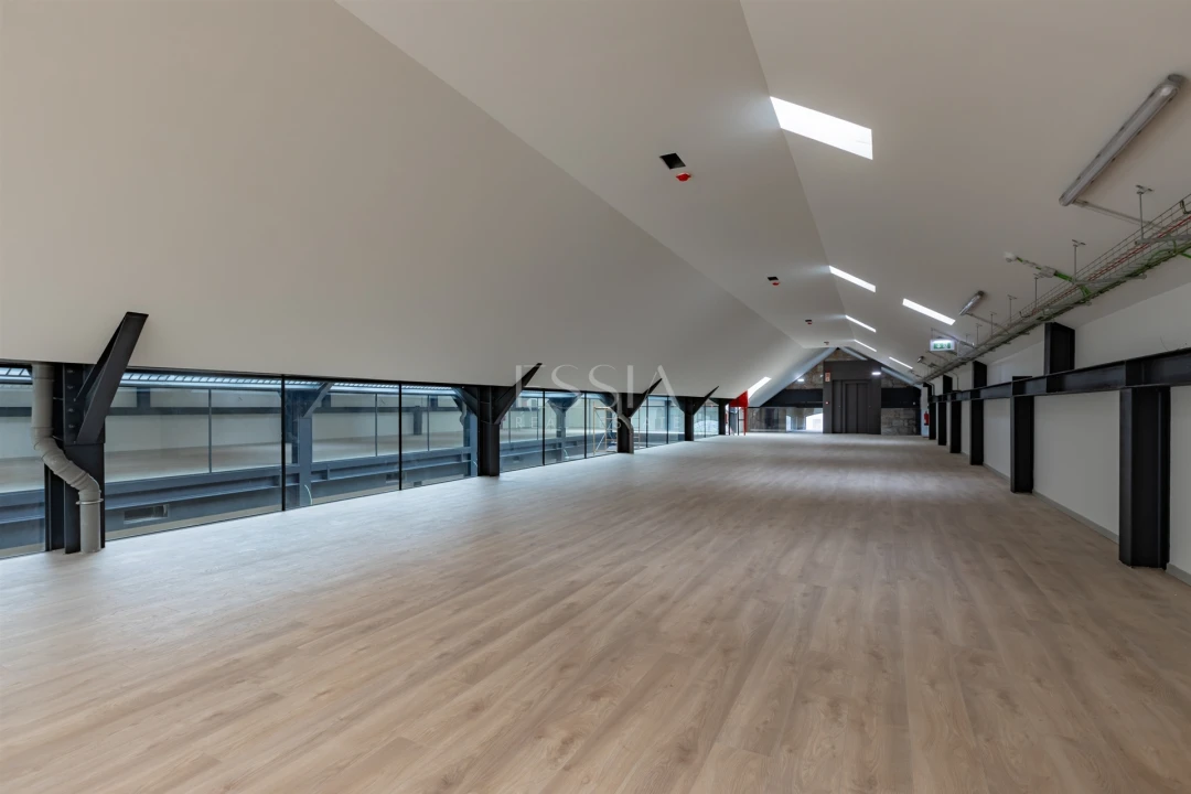 Prédio para Arrendamento em Cedofeita, Santo Ildefonso, Sé, Miragaia, São Nicolau e Vitória Foto 14