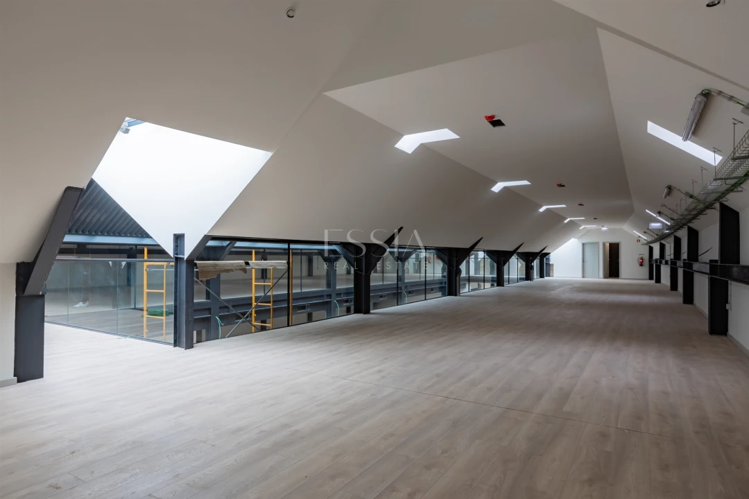 Prédio para Arrendamento em Cedofeita, Santo Ildefonso, Sé, Miragaia, São Nicolau e Vitória Foto 18