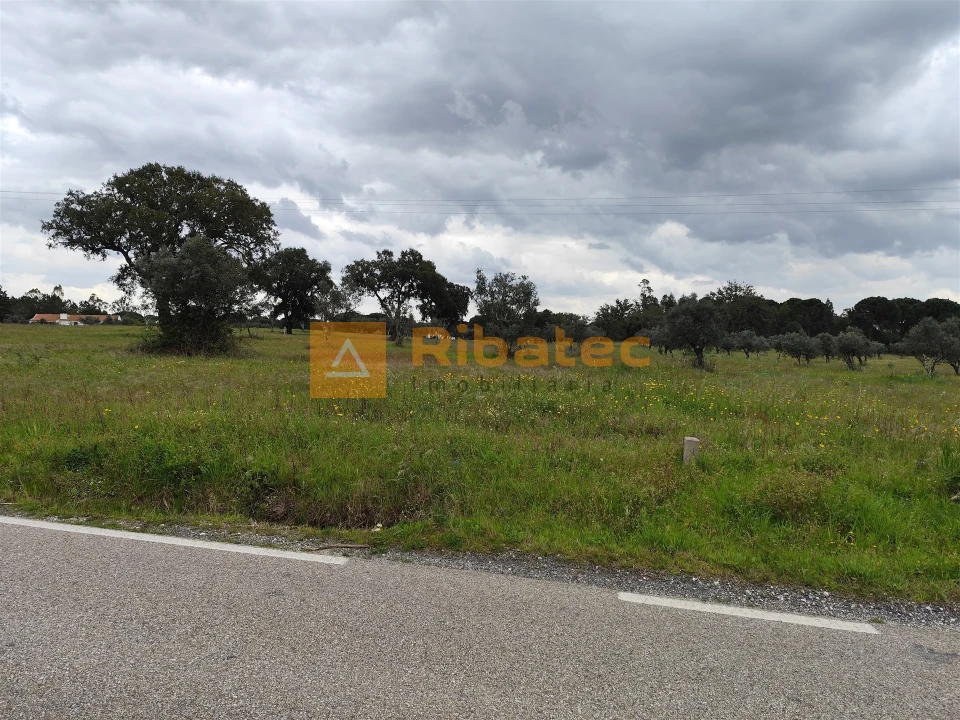 Terreno para Venda em Branca Foto 7