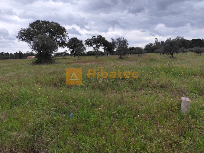 Terreno para Venda em Branca