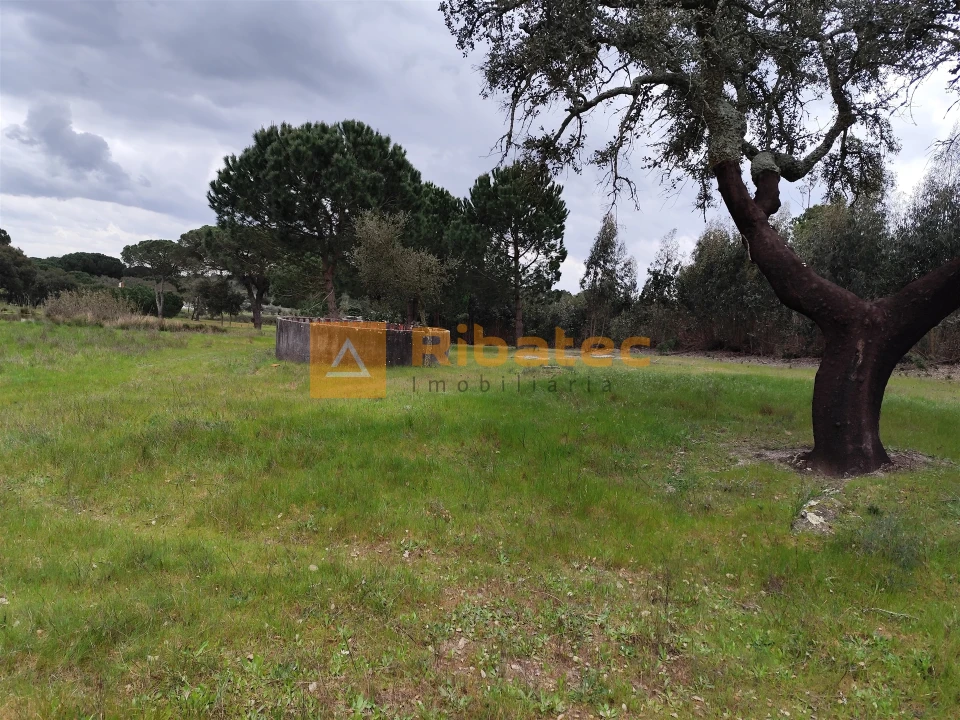 Terreno para Venda em Branca Foto 4