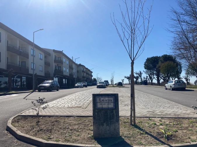 Terreno Agricola ou Rústico para Venda em Nogueira do Cravo e Pindelo Foto 3