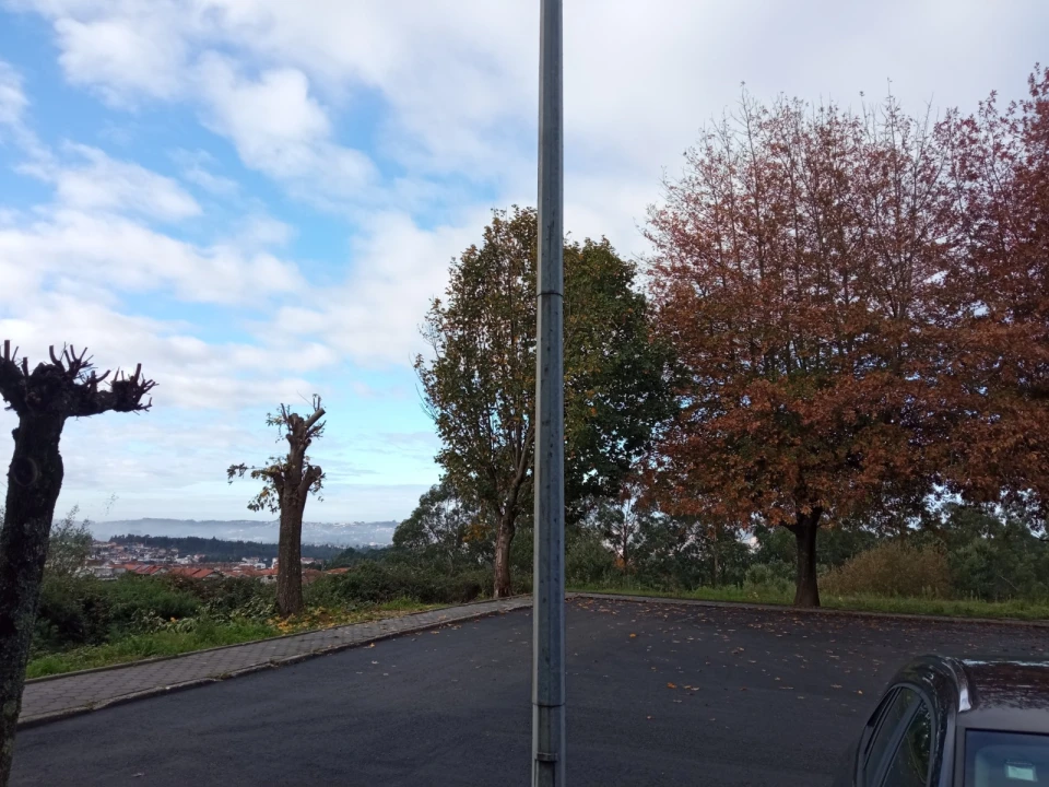Terreno Agricola ou Rústico para Venda em Nogueira do Cravo e Pindelo Foto 1