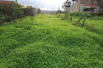 Terreno para Venda em Castelo Branco