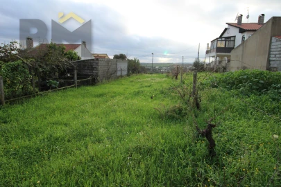 Terreno para Venda em Castelo Branco