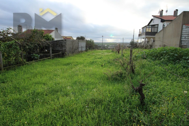 Terreno para Venda em Castelo Branco Foto 6