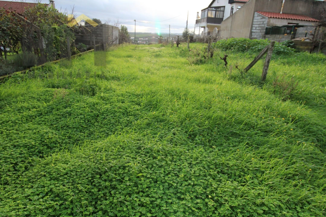 Terreno para Venda em Castelo Branco Foto 4