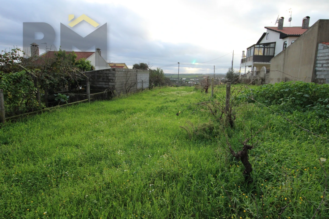 Terreno para Venda em Castelo Branco Foto 6