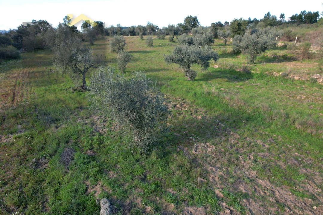 Quinta T0 para Venda em Salgueiro do Campo Foto 6