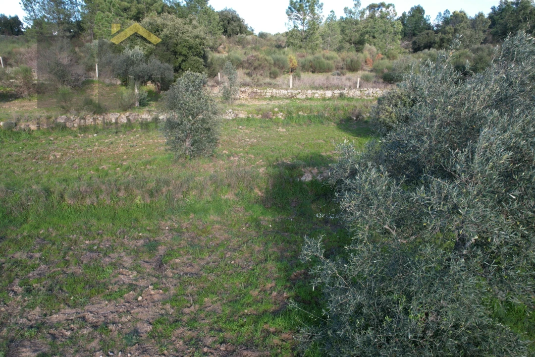 Quinta T0 para Venda em Salgueiro do Campo Foto 7