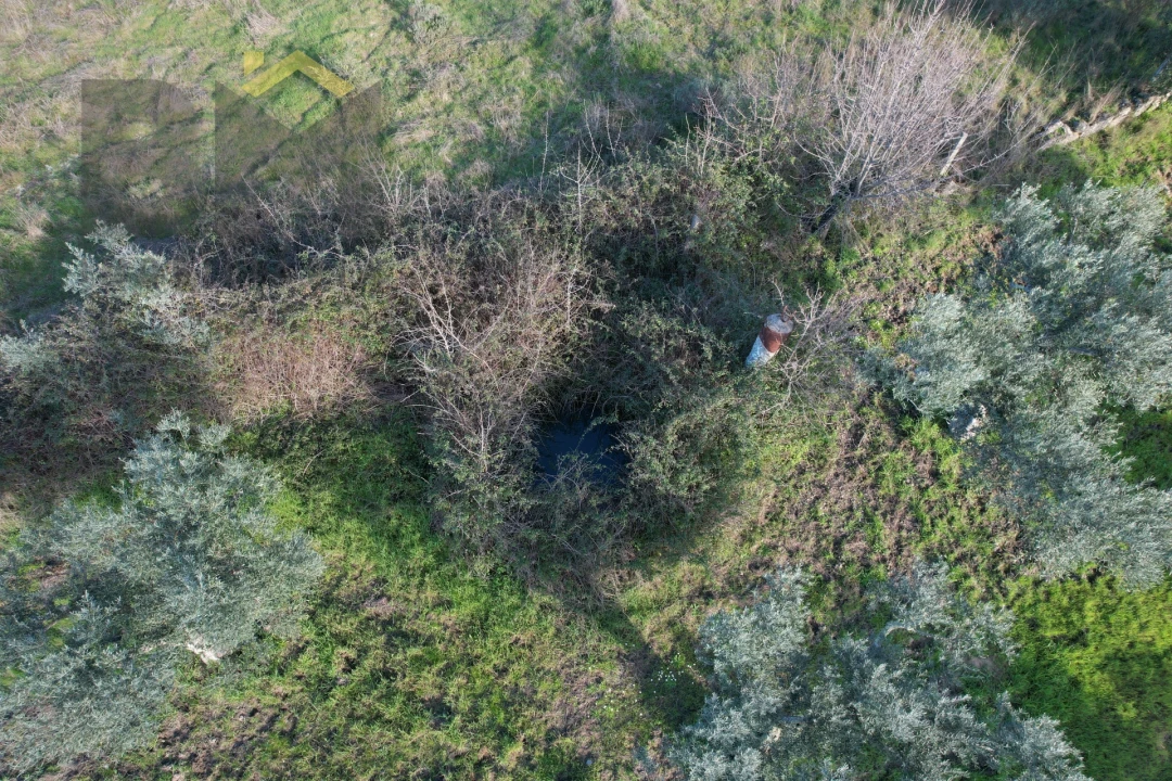 Quinta T0 para Venda em Salgueiro do Campo Foto 4