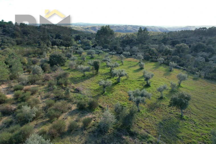 Quinta T0 para Venda em Salgueiro do Campo Foto 1