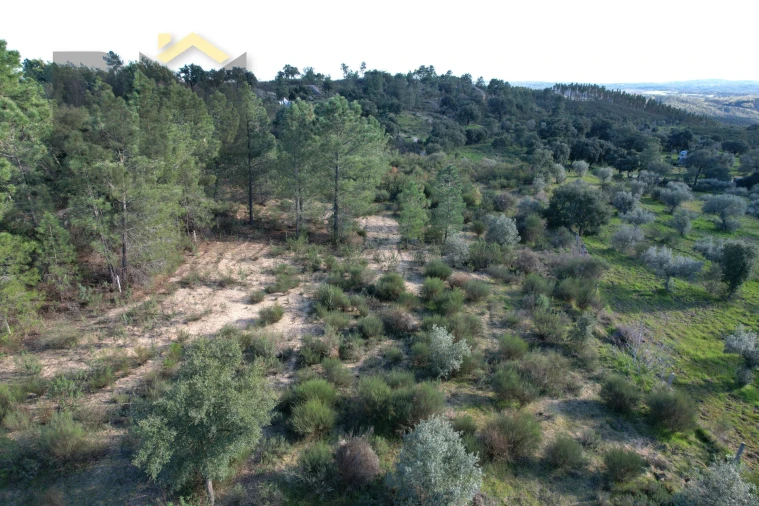 Quinta T0 para Venda em Salgueiro do Campo Foto 5